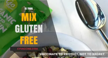 Is Trail Mix Gluten-Free? A Comprehensive Guide for Snack Lovers