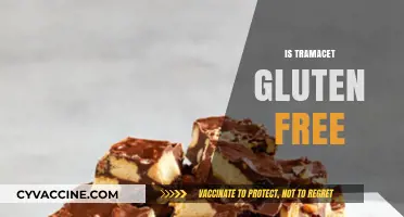 Is Tramacet Gluten-Free? A Comprehensive Guide for Patients