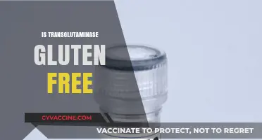 Is Transglutaminase Gluten-Free? Unraveling the Facts for Celiac Diets