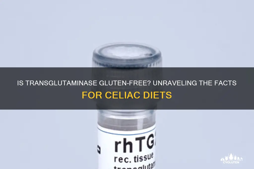 is transglutaminase gluten free