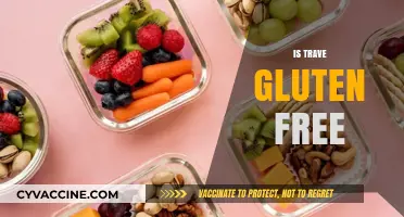 Is Trave Gluten-Free? Exploring Ingredients and Safe Options