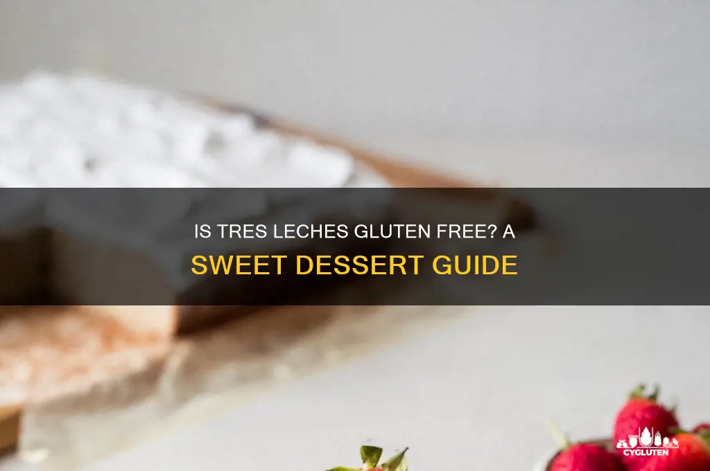 is tres leches gluten free