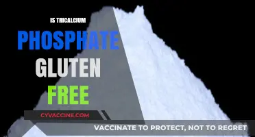 Is Tricalcium Phosphate Gluten Free? A Clear Answer