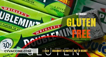 Is Trident Gum Gluten-Free? A Comprehensive Guide for Celiac Sufferers