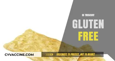 Is Triscuit Gluten-Free? Unraveling the Truth About This Popular Cracker