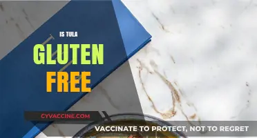 Is Tula Gluten Free? Exploring Ingredients and Safety for Celiacs