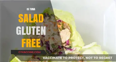 Is Tuna Salad Gluten-Free? A Complete Guide to Safe Ingredients
