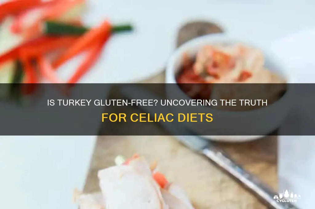 is turkey gluten-free