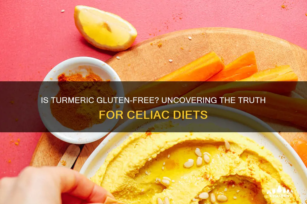 is turmeric gluten-free