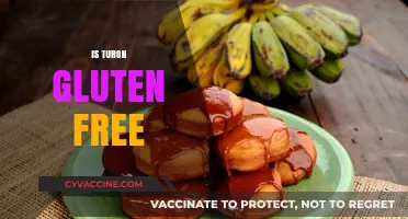Is Turon Gluten-Free? A Delicious Filipino Treat Explained
