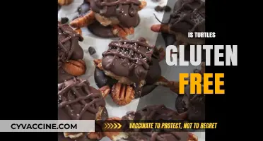 Are Turtles Gluten-Free? Unraveling the Myth and Facts