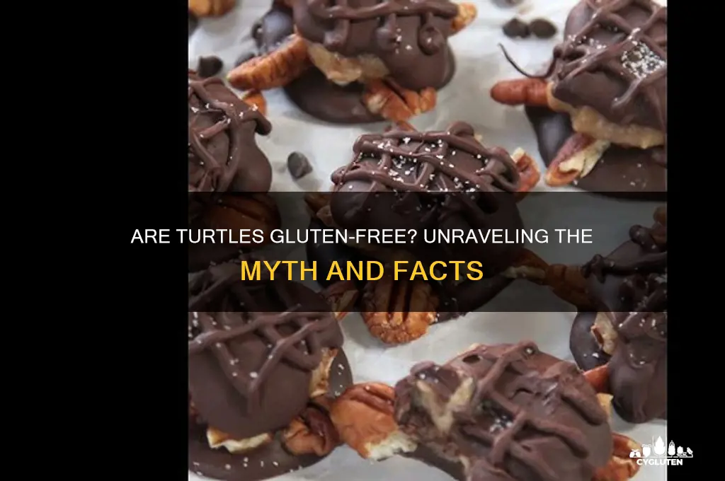 is turtles gluten free