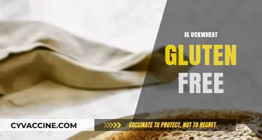 Buckwheat Gluten-Free Truth: Unraveling Myths and Facts for a Healthy Diet