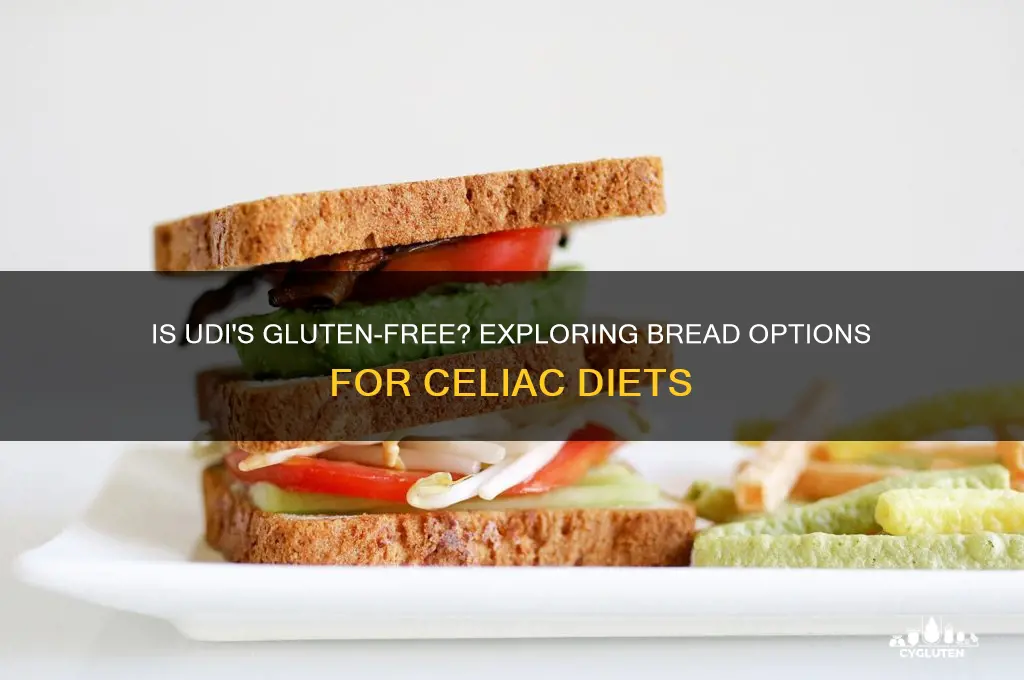 is udi gluten fre