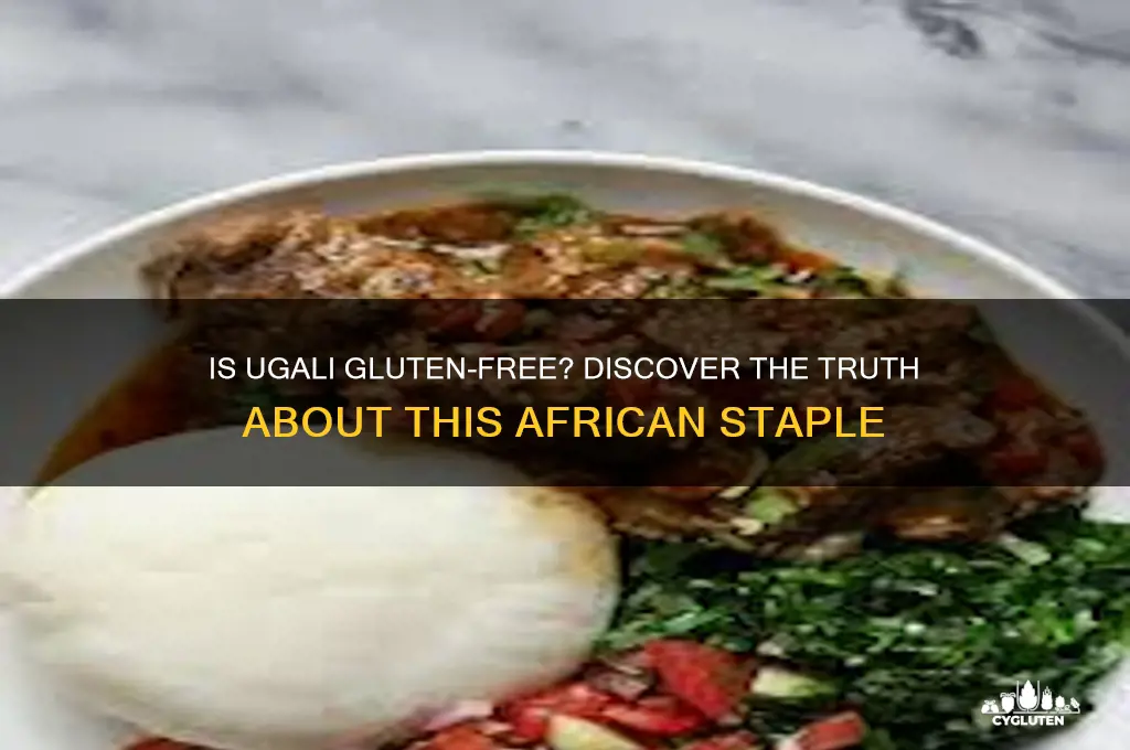 is ugali gluten free