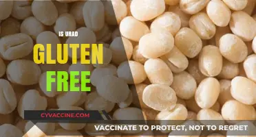 Is Urad Gluten-Free? Unveiling the Truth About This Lentil