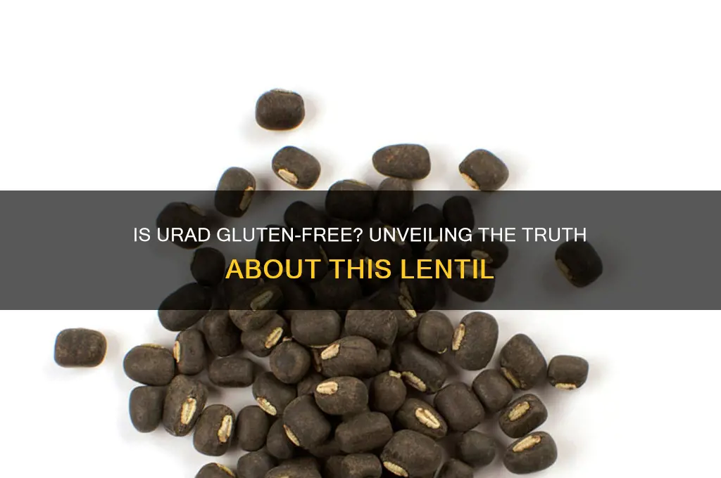 is urad gluten free