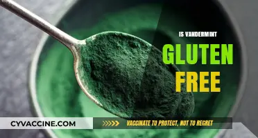 Is Vandermint Gluten-Free? A Comprehensive Guide to Its Ingredients