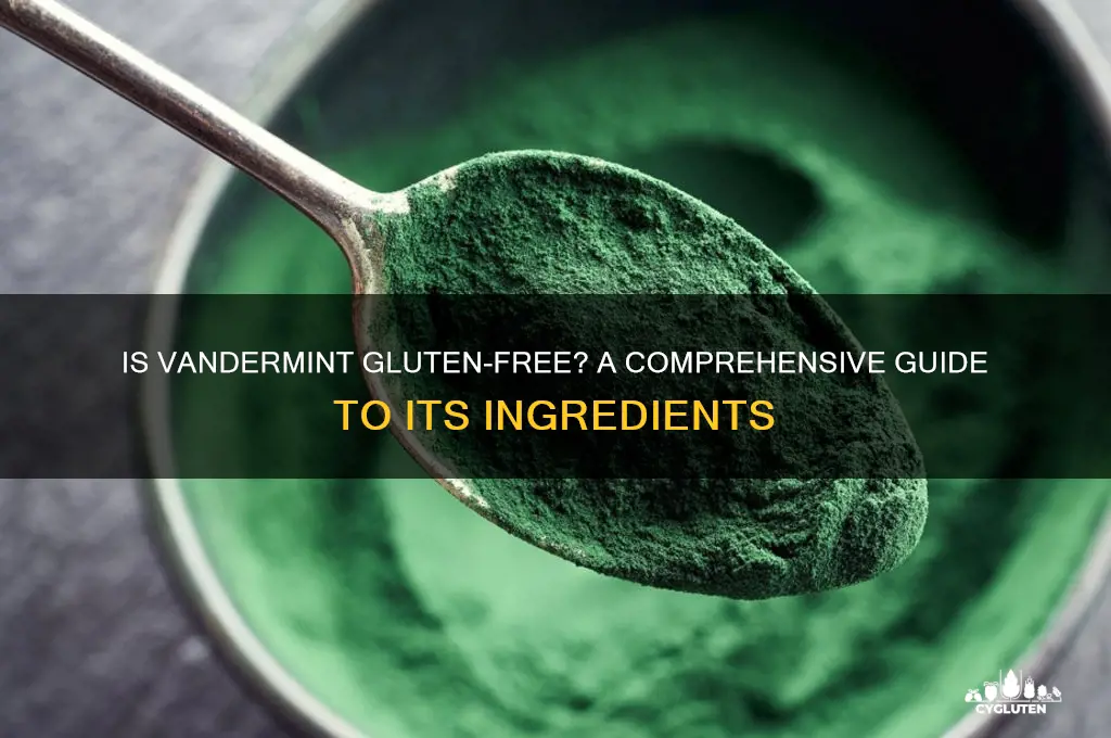 is vandermint gluten free