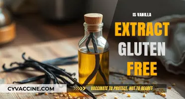Is Vanilla Extract Gluten-Free? A Clear Answer for Your Diet
