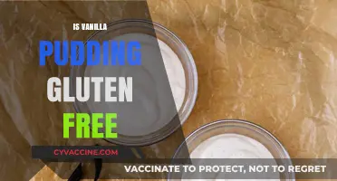 Is Vanilla Pudding Gluten-Free? A Complete Guide for Dietary Needs