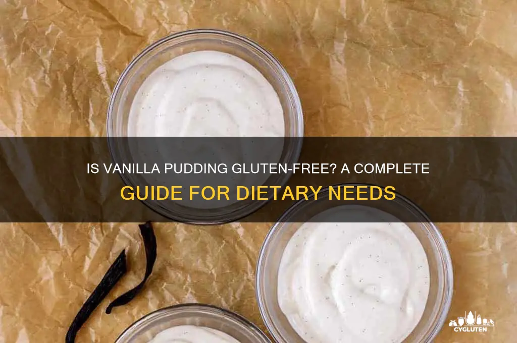 is vanilla pudding gluten free