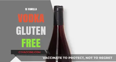 Is Vanilla Vodka Gluten-Free? A Guide for Celiac Drinkers