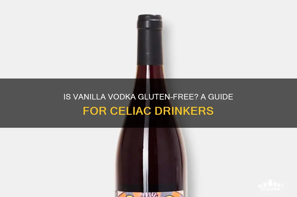 is vanilla vodka gluten free