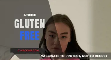 Is Vanillin Gluten Free? Understanding Its Safety for Celiac Diets