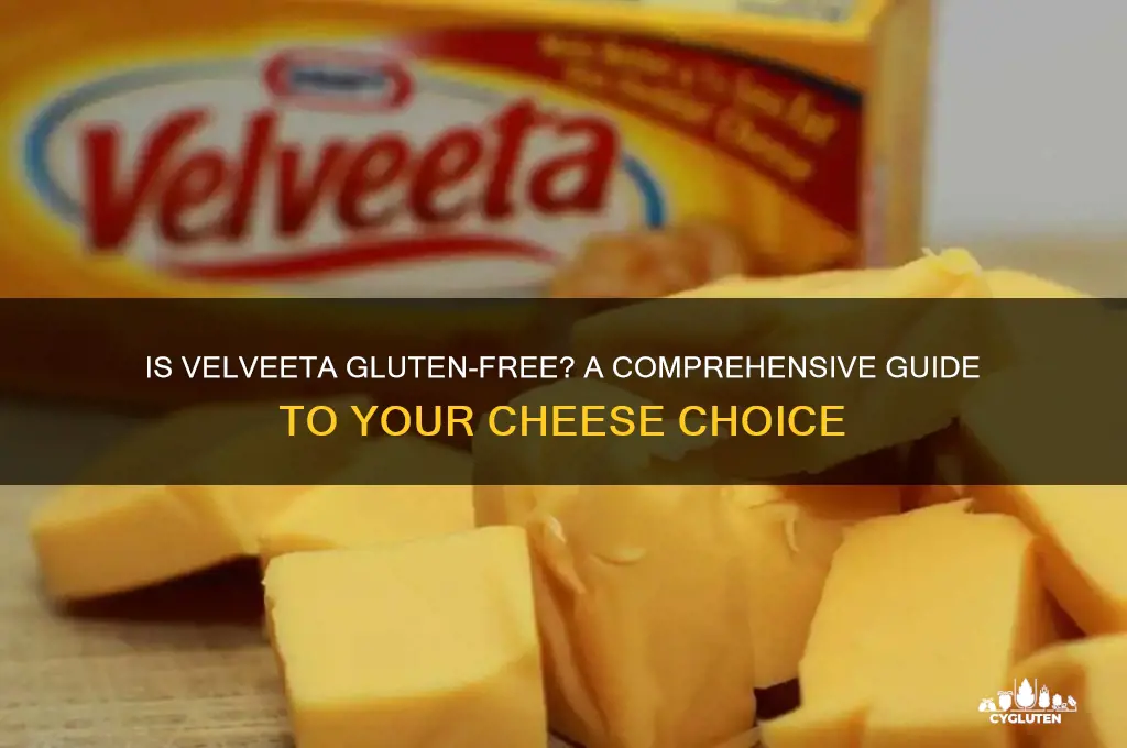 is velveeta gluten-free
