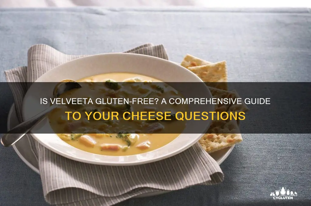 is velveta gluten free