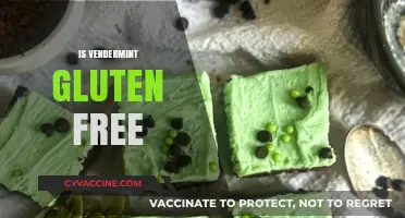 Is Vendermint Gluten-Free? A Comprehensive Guide to Its Ingredients