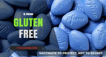 Is Viagra Gluten-Free? Exploring Ingredients and Dietary Concerns