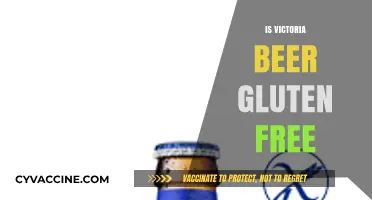 Is Victoria Beer Gluten-Free? Exploring the Facts for Celiac Drinkers