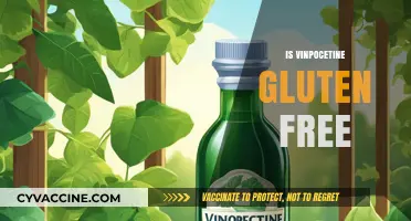 Is Vinpocetine Gluten-Free? A Comprehensive Guide to Its Ingredients