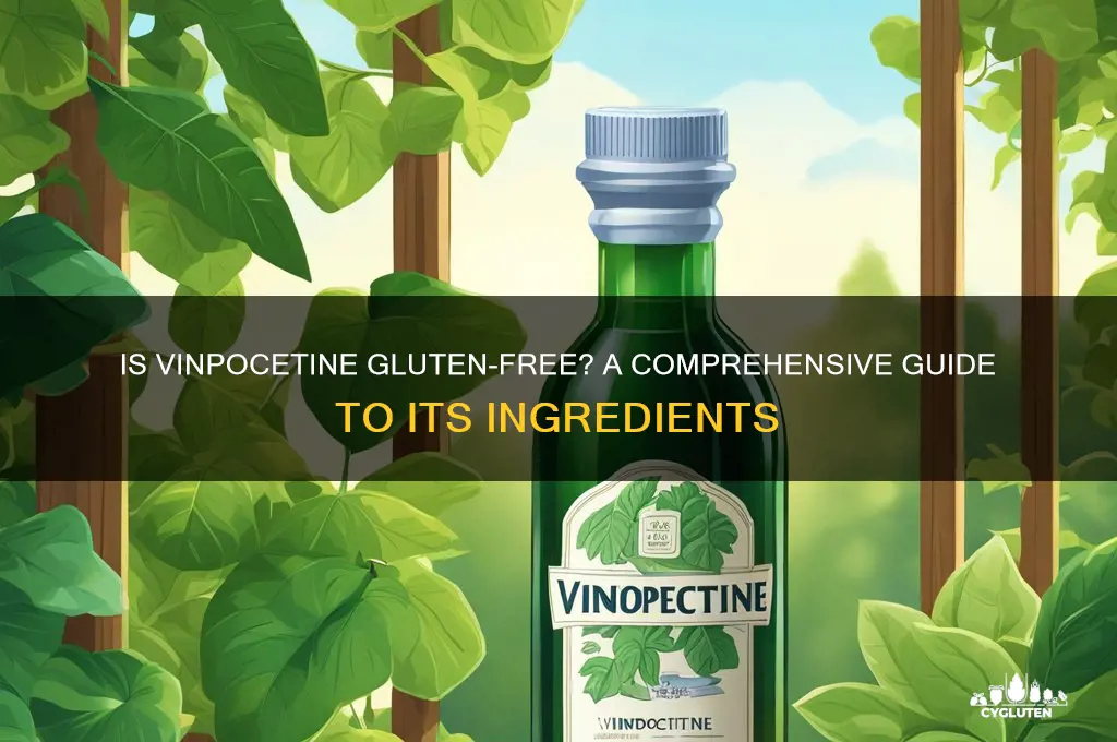 is vinpocetine gluten free
