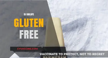 Is Violife Gluten-Free? A Comprehensive Guide to Dairy-Free Cheese