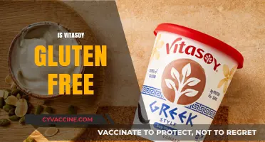Is Vitasoy Gluten-Free? A Comprehensive Guide to Soy Milk Options
