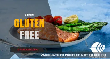 Is Vivera Gluten-Free? A Comprehensive Guide to Their Products