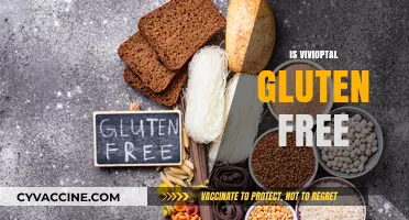 Is Vivioptal Gluten-Free? A Comprehensive Guide for Dietary Needs