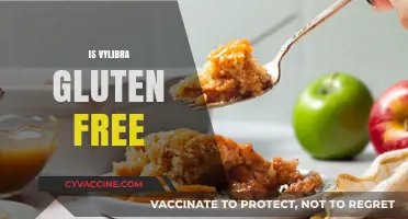 Is Vylibra Gluten-Free? A Comprehensive Guide to Its Ingredients