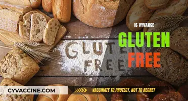 Is Vyvanse Gluten-Free? Essential Facts for Celiac Patients and Beyond