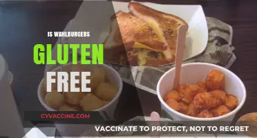 Is Wahlburgers Gluten-Free? Exploring Menu Options for Celiac Diners