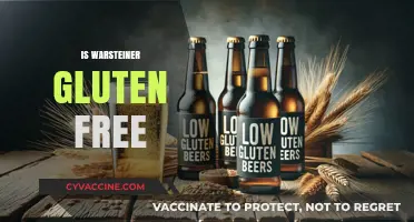 Is Warsteiner Gluten-Free? A Guide to This Popular Beer
