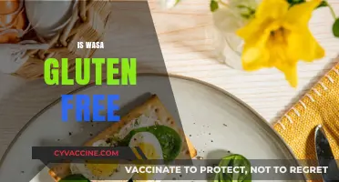 Is Wasa Gluten-Free? Unraveling the Truth About Wasa Crackers