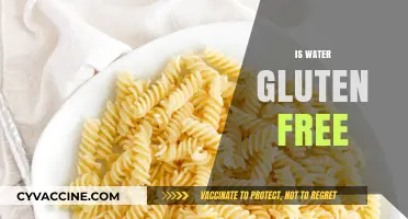 Is Water Gluten-Free? Unraveling the Truth Behind the Myth