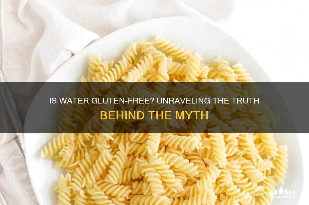 is water gluten free