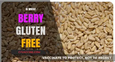 Is Wheat Berry Gluten-Free? Unraveling the Truth for Your Diet
