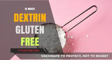 Is Wheat Dextrin Gluten-Free? Unraveling the Truth for Your Diet