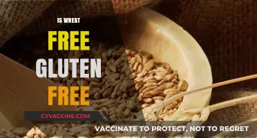 Is Wheat-Free the Same as Gluten-Free? Understanding the Difference